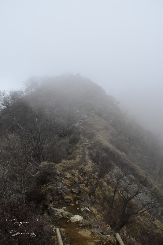 b0223512_23005447.jpg