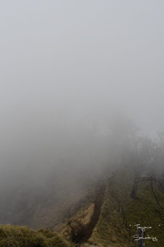 b0223512_23085002.jpg