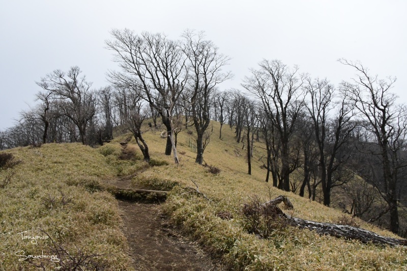 b0223512_23165911.jpg