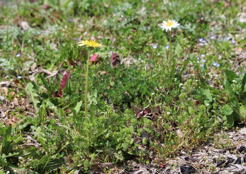 d0361112_20231224.jpg
