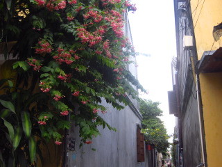 c0352015_18331968.jpg