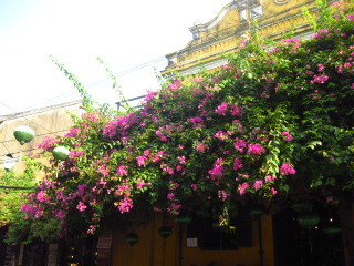 c0352015_18340986.jpg