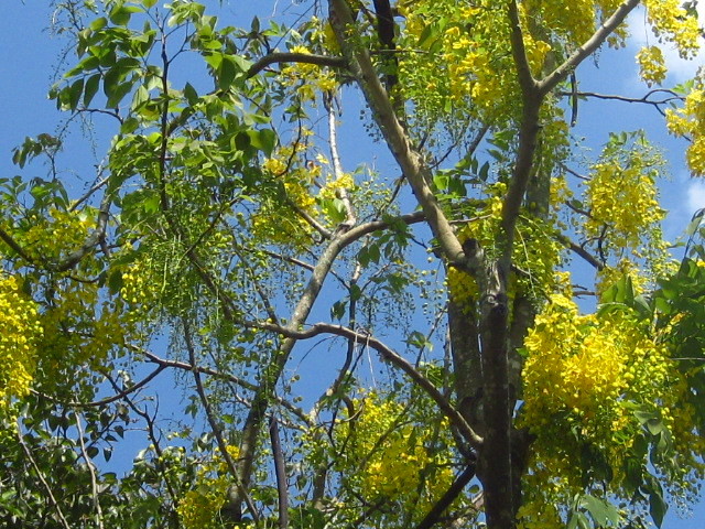 c0352015_23065593.jpg