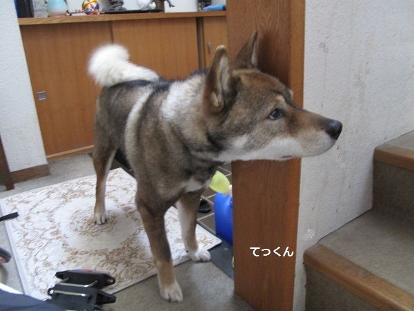 f0143123_20322448.jpg