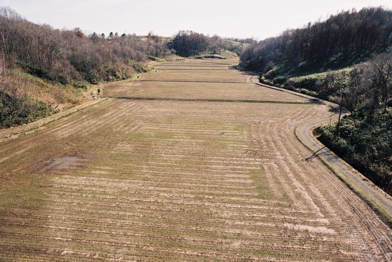 f0362725_14015569.jpg