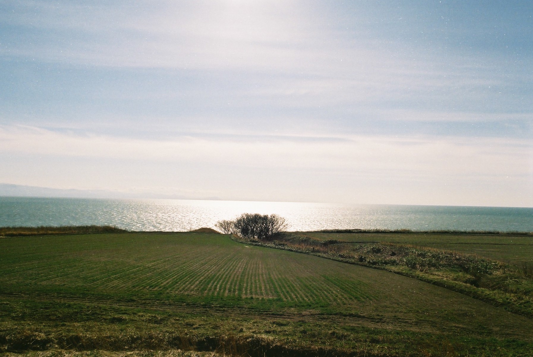 f0362725_14033098.jpg