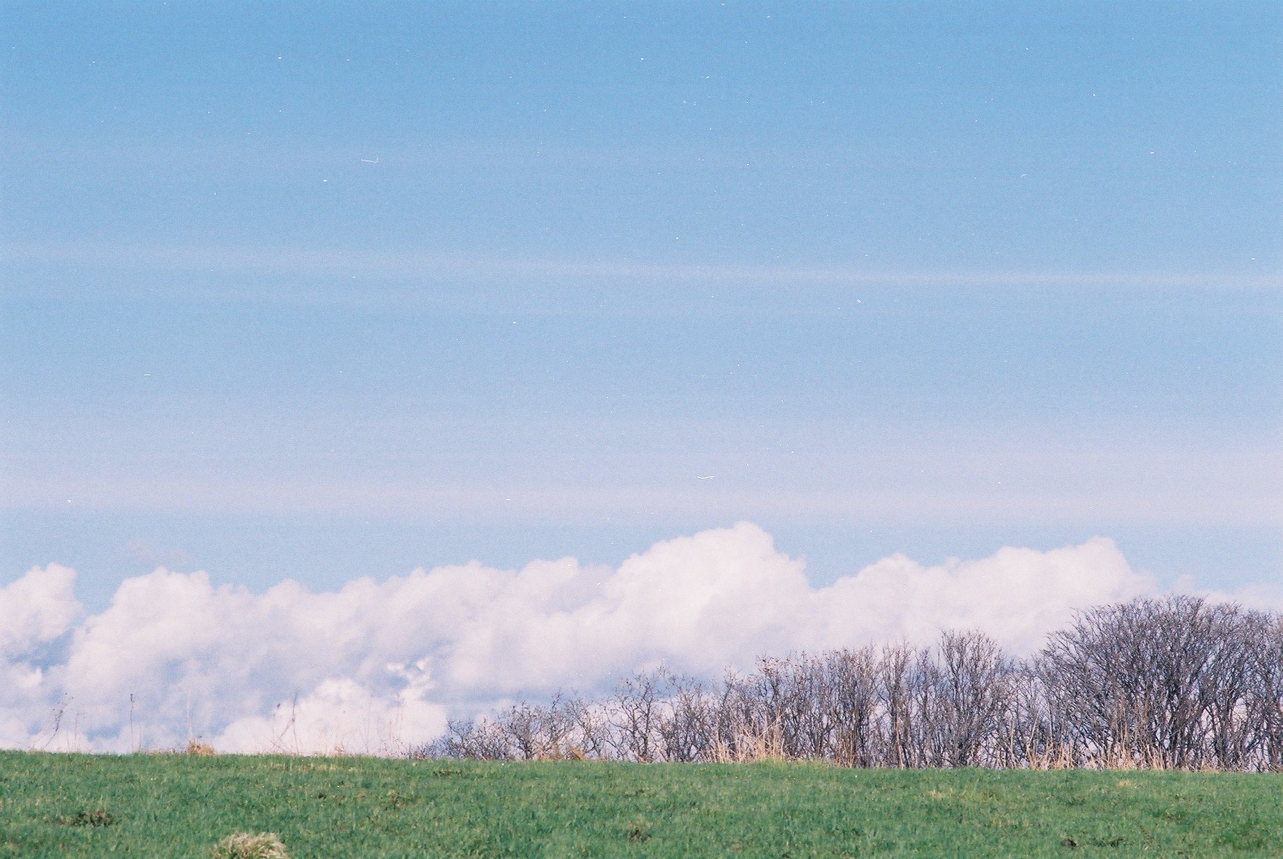 f0362725_14034718.jpg