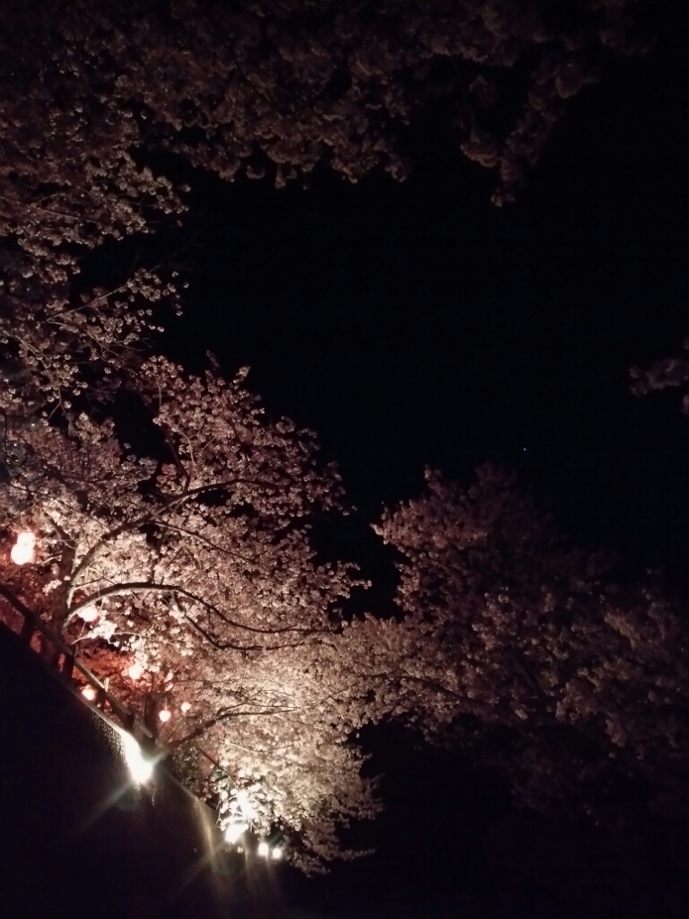 f0347942_12514854.jpg
