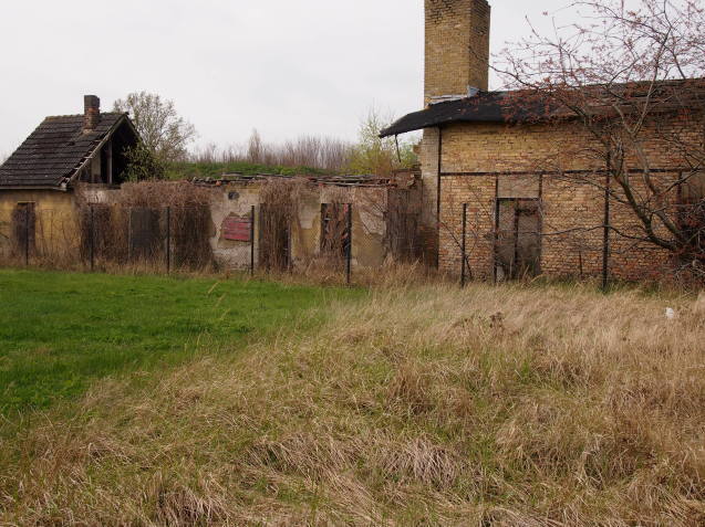 b0017546_15562250.jpg