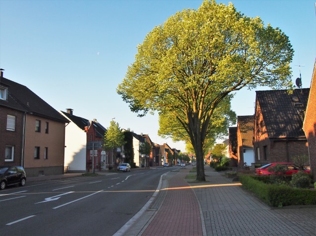b0017546_15592609.jpg