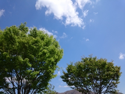 f0326946_16503152.jpg