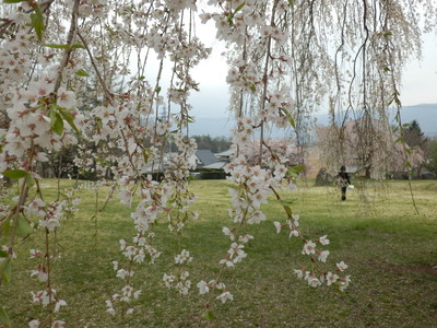 b0126549_2149580.jpg