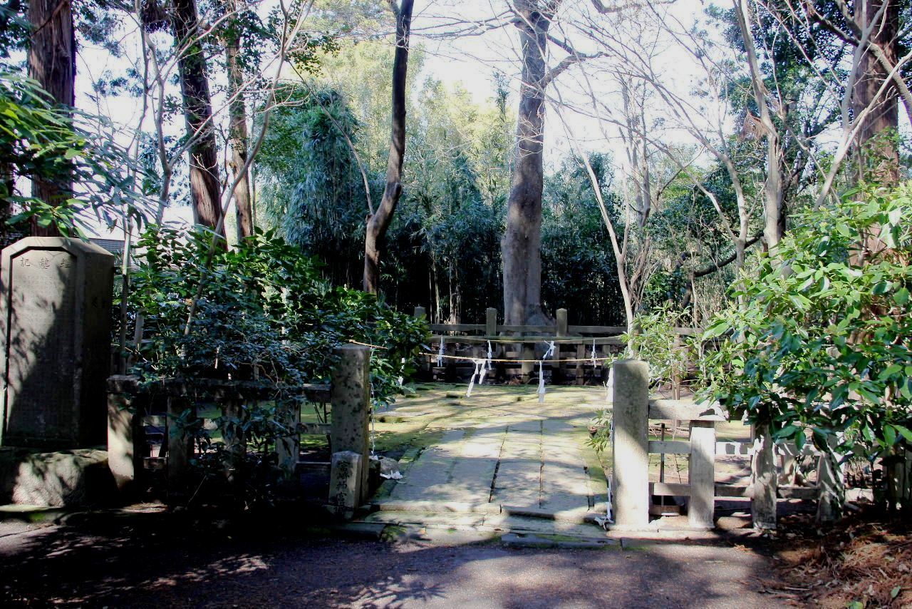 c0011649_00424752.jpg