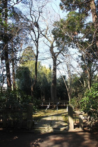 c0011649_00430264.jpg
