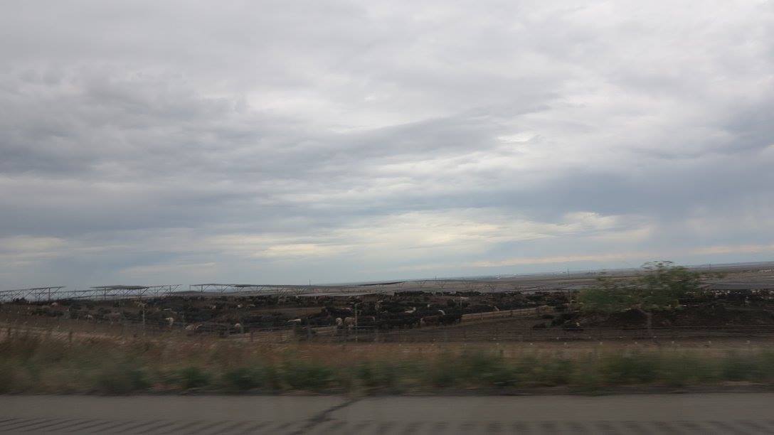 c0355451_10494657.jpg