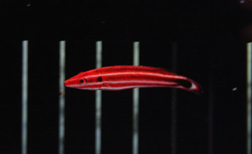 c0165758_19004551.jpg