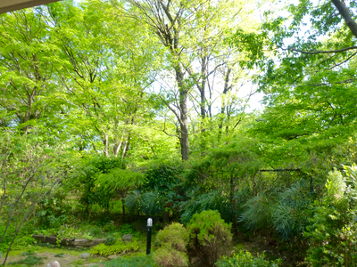 c0040472_15353596.jpg
