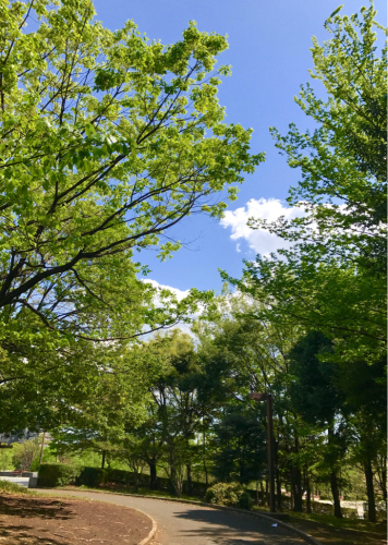 b0229277_08155492.jpg