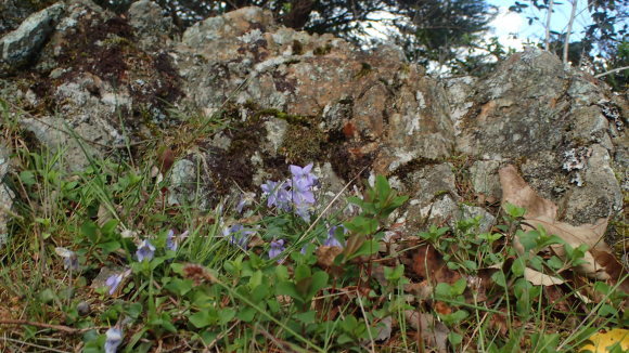 e0024081_08115974.jpg
