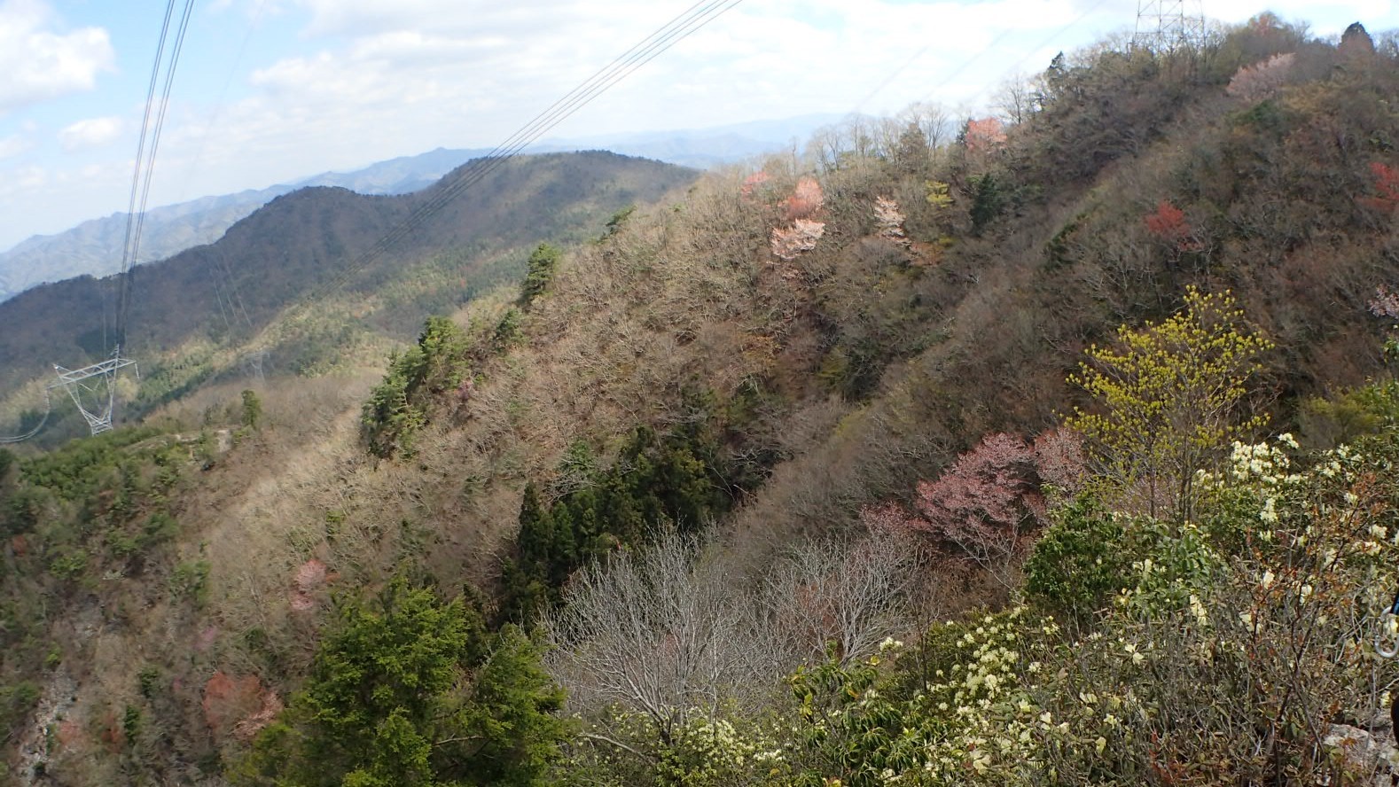 e0024081_08184074.jpg