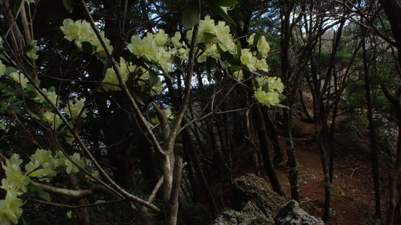 e0024081_08231107.jpg
