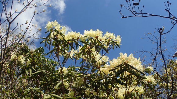 e0024081_08290618.jpg