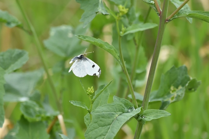 f0031682_22362124.jpg