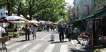 f0003283_08264627.jpg