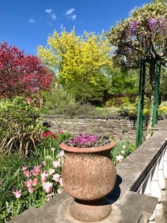 a0263388_13394786.jpg