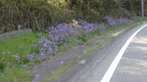 a0338094_07203361.jpg