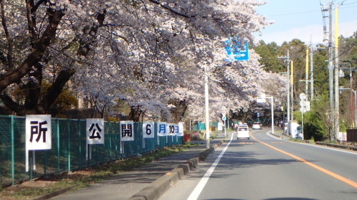 a0338094_07210397.jpg