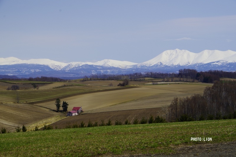 c0352894_13575966.jpg