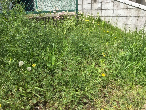 f0130894_20481823.jpg