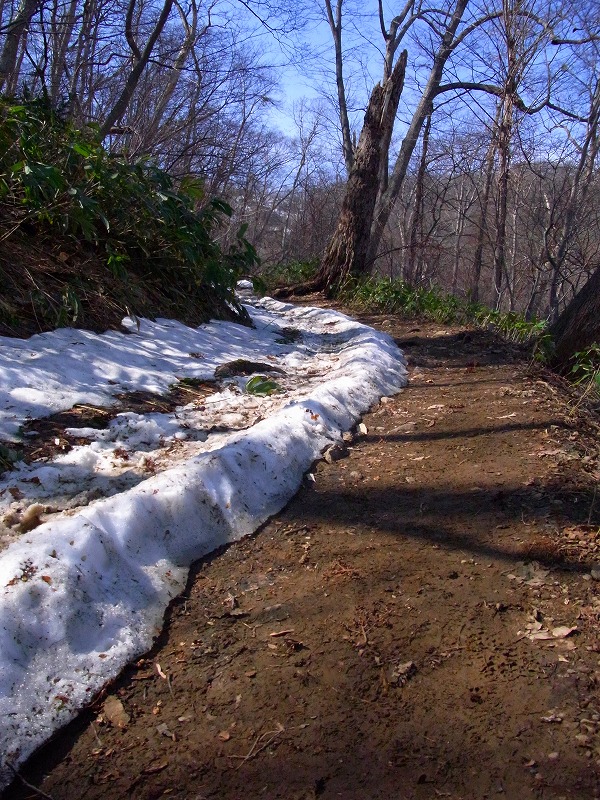 f0157901_21445759.jpg