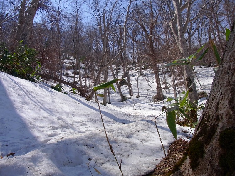 f0157901_21462591.jpg