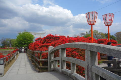 b0069604_19501478.jpg