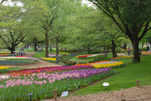 c0051105_0262458.jpg