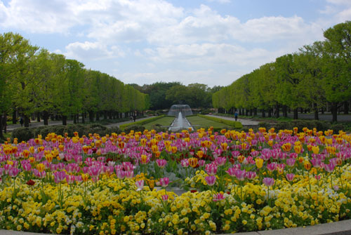 c0051105_154120.jpg