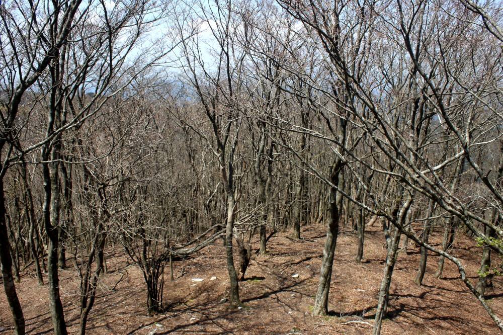 f0212511_00072931.jpg