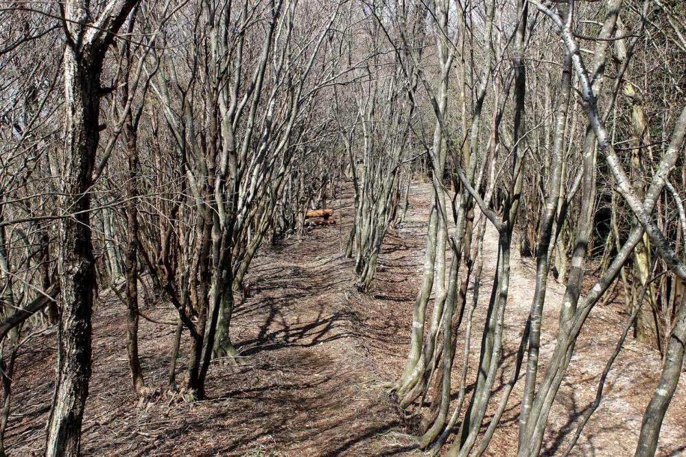 f0212511_00080157.jpg