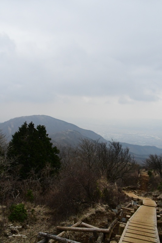 b0223512_22472725.jpg