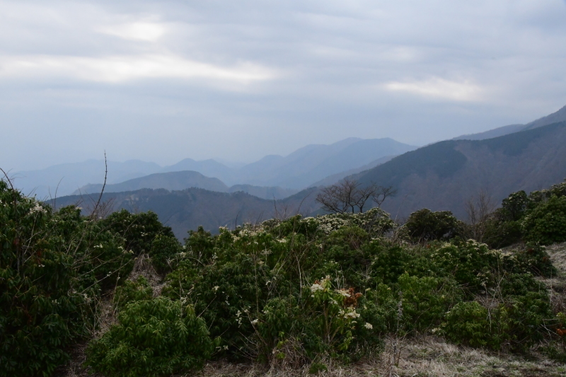 b0223512_22531871.jpg