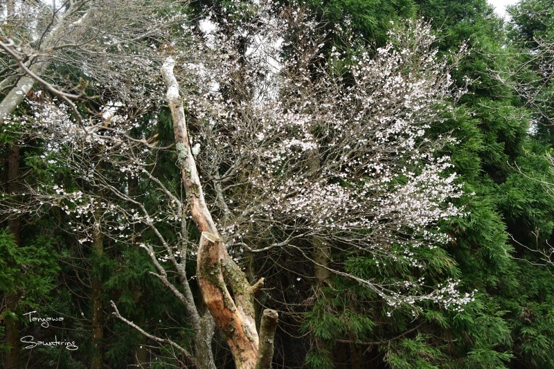 b0223512_23000942.jpg
