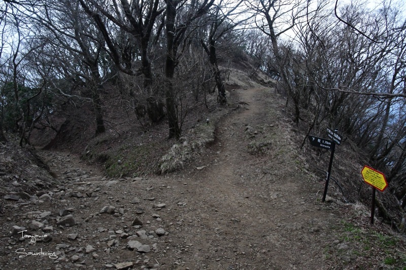 b0223512_23084054.jpg