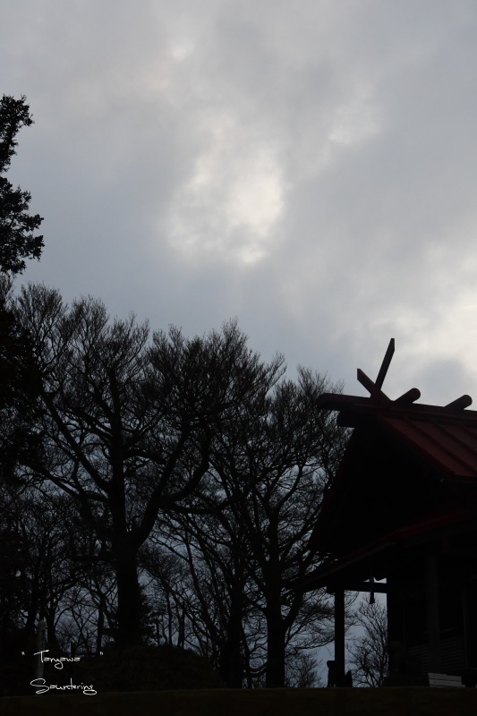b0223512_23131528.jpg