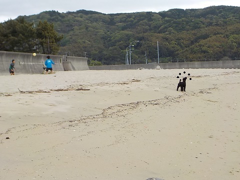 f0341616_17331389.jpg