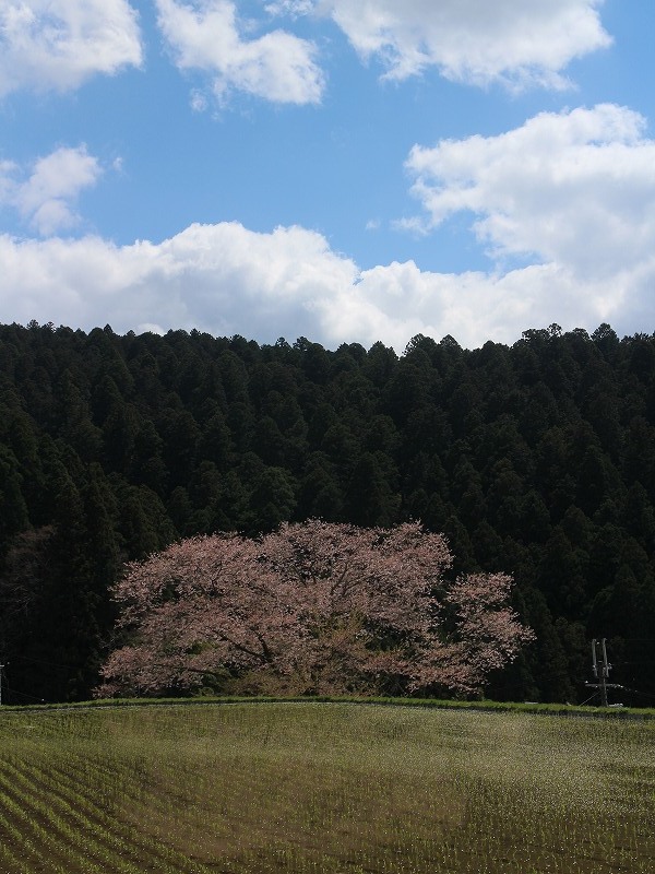e0106724_00334844.jpg