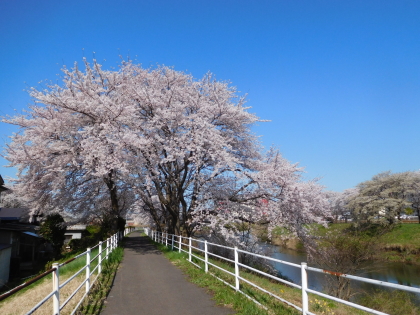 f0080631_2121454.jpg
