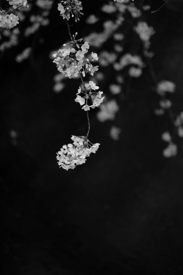 f0358531_23404057.jpg