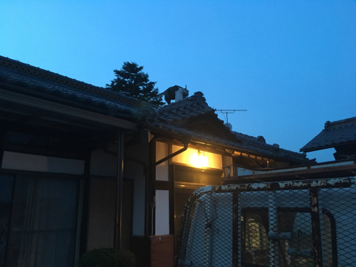 b0242734_22375220.jpg